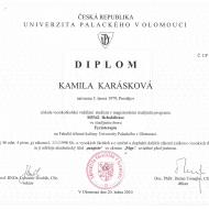 Diplom Mgr
